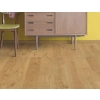 Panele Podłogowe Dąb Bielony Jasny Eligna Quick-Step Unilin EL1491 AC4 8 mm